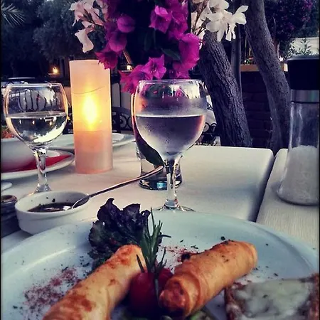 T&g Appart hôtel